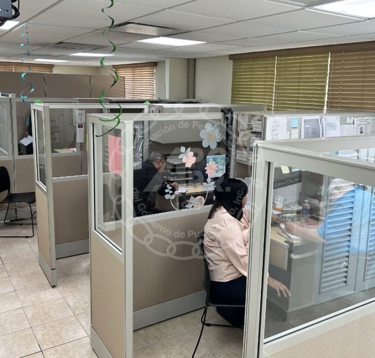 APGPR_SERVICIOS_10_2025