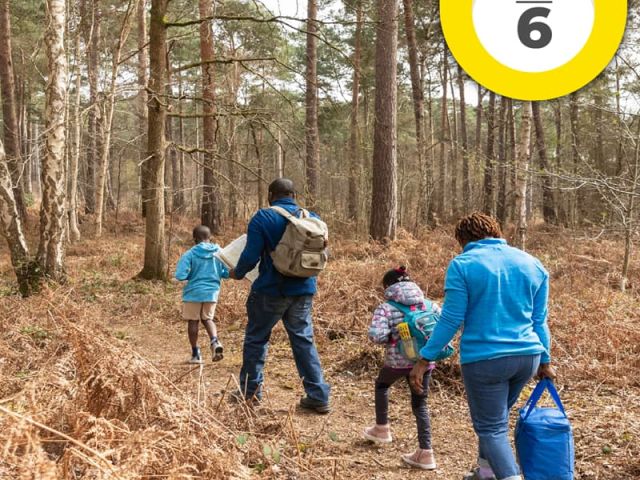 blog_terremotos_apgpr_paso6-portada