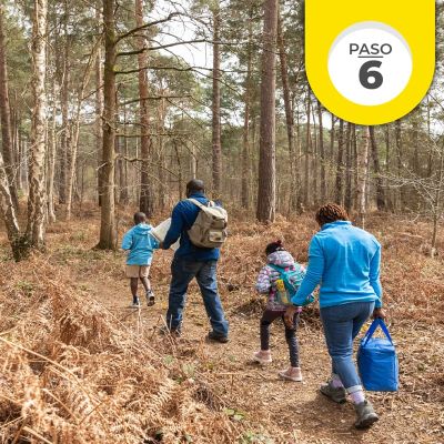 blog_terremotos_apgpr_paso6-portada